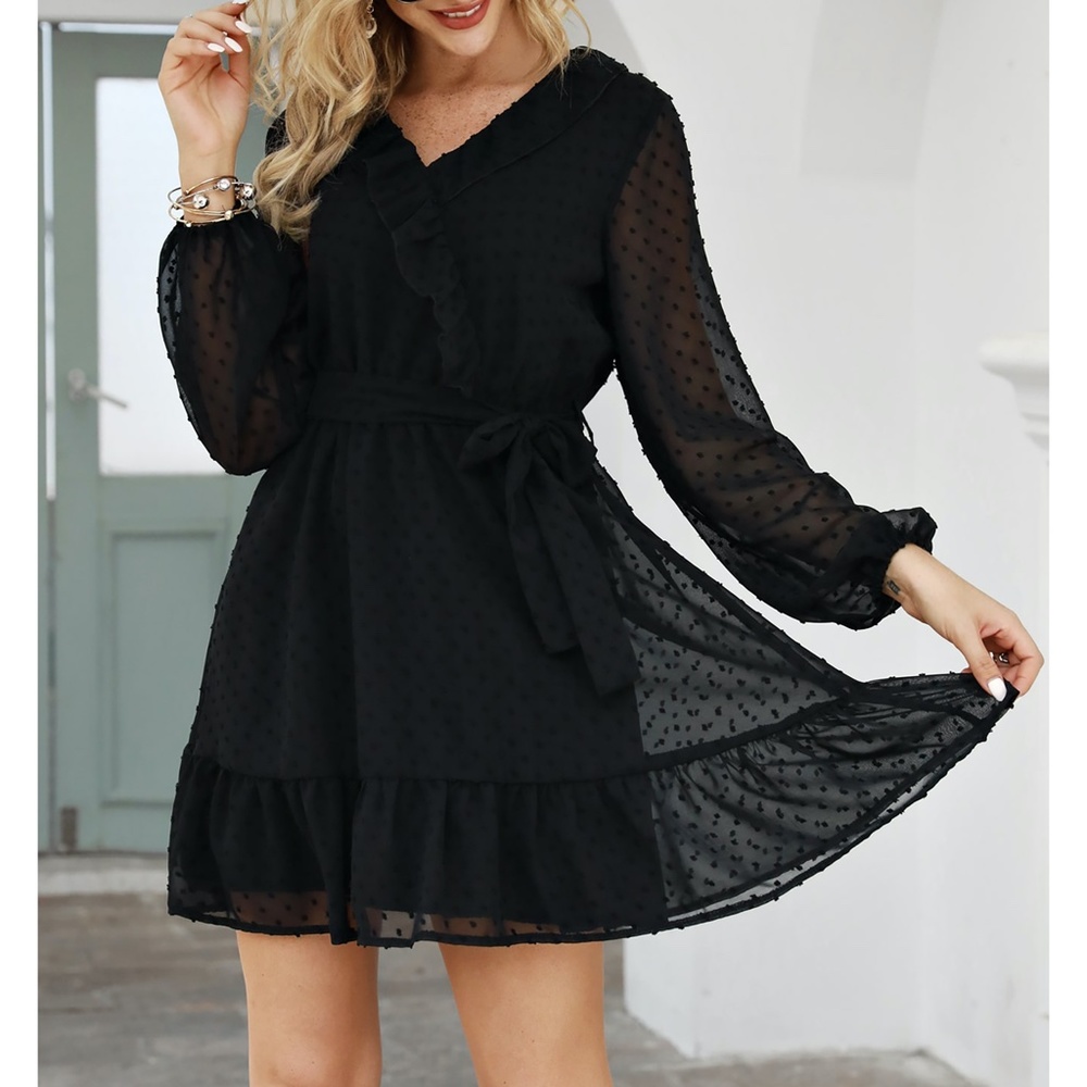 Black Swiss Dot Sheer Sleeves Ruffle Belted Dress - Picture 6 of 10